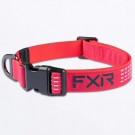 FXR Dog Collar Hundehalsbånd Rosa thumbnail